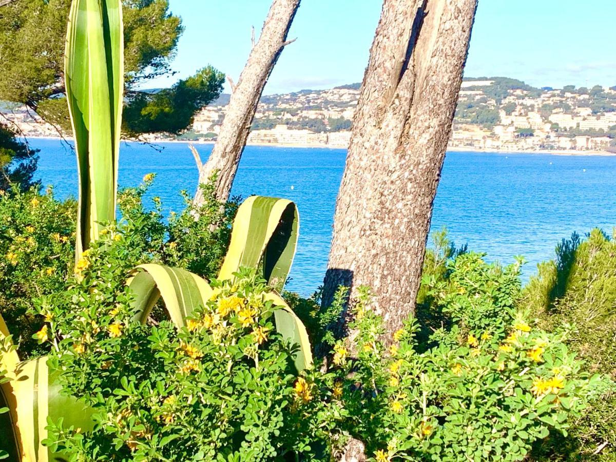 La Plage A 5 Minutes A Pied, Calme Et Verdure Sanary-sur-Mer Eksteriør bilde